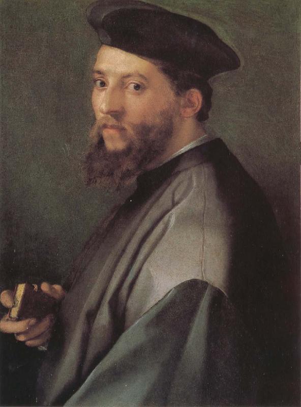 Andrea del Sarto Portrait of ecclesiastic oil painting image